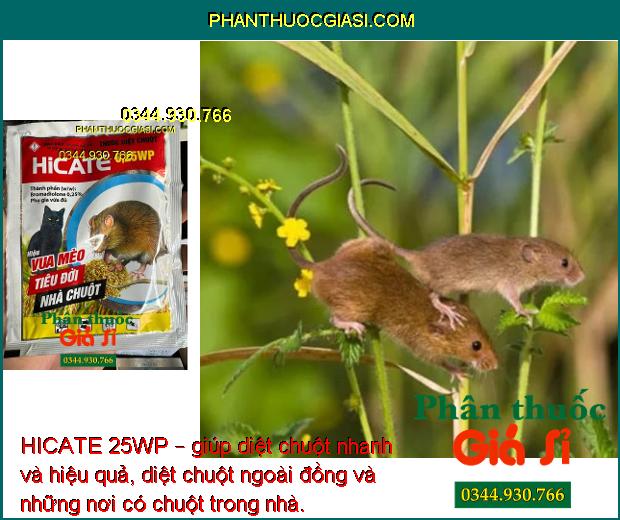 HICATE 25WP – Thuốc Diệt Chuột Cực Mạnh