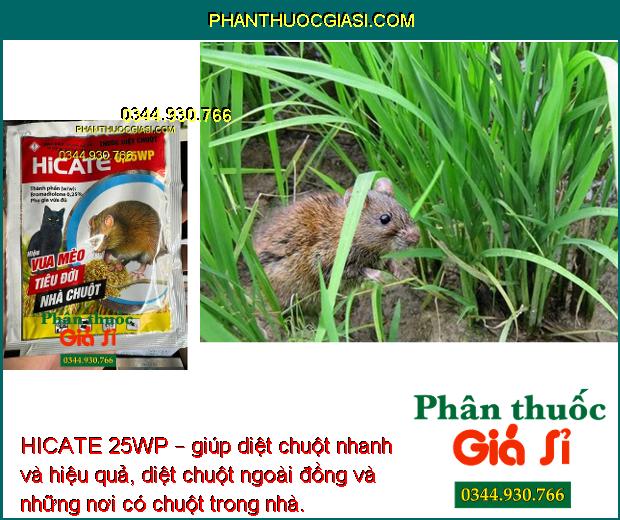 HICATE 25WP – Thuốc Diệt Chuột Cực Mạnh