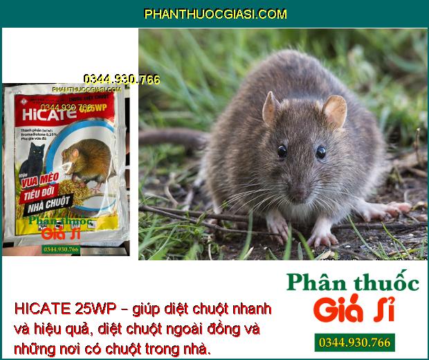 HICATE 25WP – Thuốc Diệt Chuột Cực Mạnh