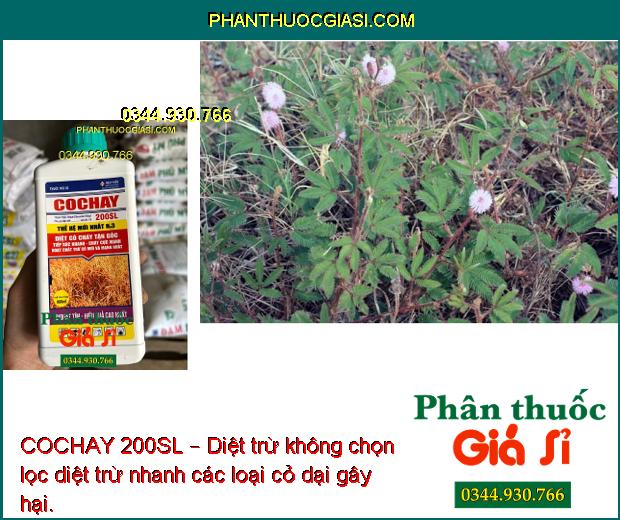 COCHAY 200SL – Diệt Trừ Không Chọn Lọc Hầu Hết Các Loại Cỏ 