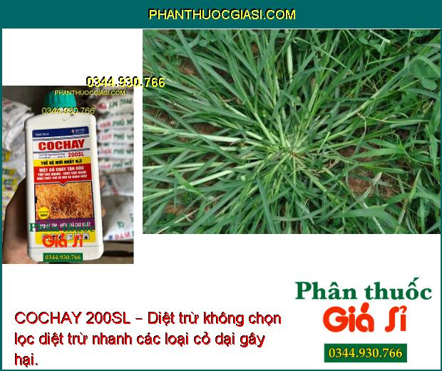 COCHAY 200SL – Diệt Trừ Không Chọn Lọc Hầu Hết Các Loại Cỏ 