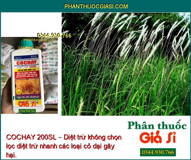 COCHAY 200SL – Diệt Trừ Không Chọn Lọc Hầu Hết Các Loại Cỏ 