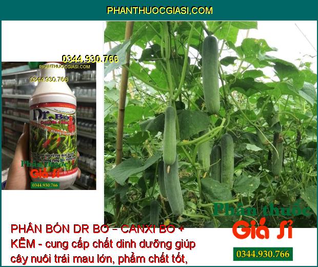 PHÂN BÓN DR BO – CANXI BO + KẼM - Hoa Khỏe - Tăng Đậu Trái - Trái Mau Lớn - Tăng Phẩm Chất Trái