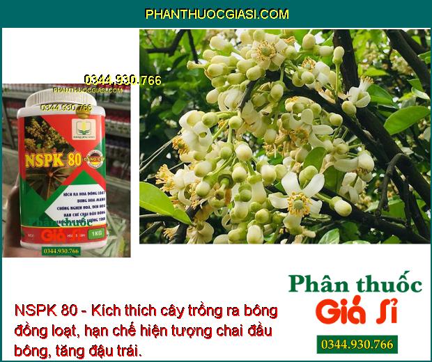 NSPK 80 - Kích Thích Ra Hoa Đồng Loạt - Tăng Đậu Trái