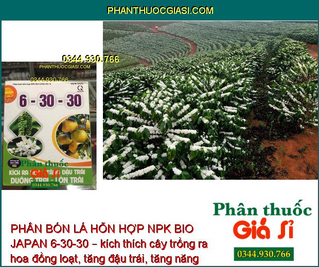 PHÂN BÓN LÁ HỖN HỢP NPK BIO JAPAN 6-30-30 – Ra Hoa Đồng Loạt - Tăng Đậu Trái - Cứng Cây - Đứng Lá