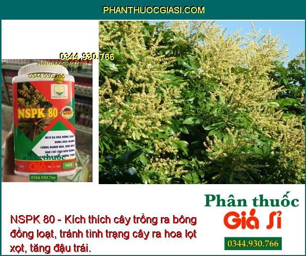 NSPK 80 - Kích Thích Ra Hoa Đồng Loạt - Tăng Đậu Trái