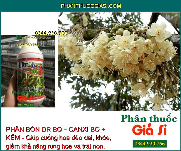 PHÂN BÓN DR BO – CANXI BO + KẼM - Hoa Khỏe - Tăng Đậu Trái - Trái Mau Lớn - Tăng Phẩm Chất Trái