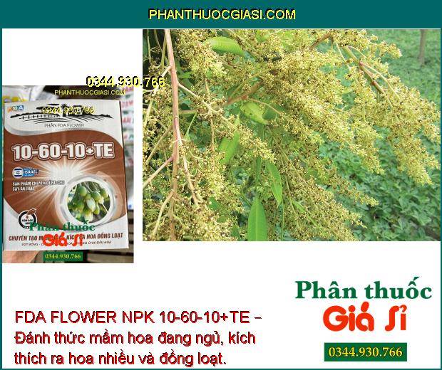 FDA FLOWER NPK 10-60-10+TE – Kích Ra Hoa Đồng Loạt - Chống Nghẹn Hoa - Chống Rụng Hoa