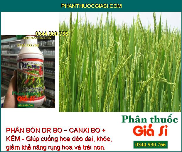 PHÂN BÓN DR BO – CANXI BO + KẼM - Hoa Khỏe - Tăng Đậu Trái - Trái Mau Lớn - Tăng Phẩm Chất Trái