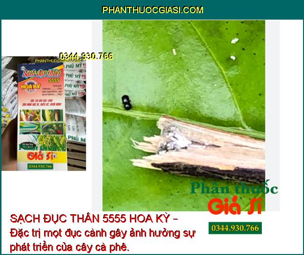 SẠCH ĐỤC THÂN 5555 HOA KỲ – Đặc Trị Sâu Đục Thân - Rệp Sáp - Sâu Đục Quả - Rầy Nâu - Nhện Đỏ