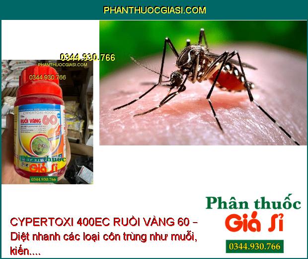 CYPERTOXI 400EC RUỒI VÀNG 60 – Đặc Trị Ruồi Vàng - Muỗi - Kiến - Sâu Khoang - Sâu Cuốn Lá - Bọ Xít muỗi