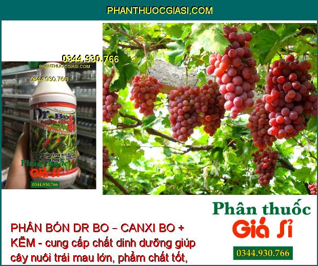 PHÂN BÓN DR BO – CANXI BO + KẼM - Hoa Khỏe - Tăng Đậu Trái - Trái Mau Lớn - Tăng Phẩm Chất Trái