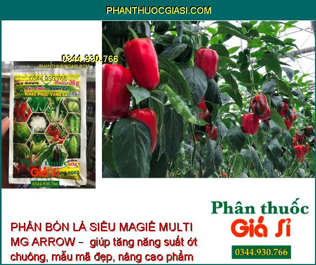 PHÂN BÓN LÁ SIÊU MAGIÊ MULTI MG ARROW – Nảy Chồi - Xanh Lá - Nâng Cao Chất Lượng Nông Sản