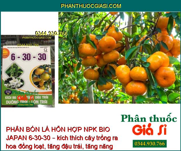PHÂN BÓN LÁ HỖN HỢP NPK BIO JAPAN 6-30-30 – Ra Hoa Đồng Loạt - Tăng Đậu Trái - Cứng Cây - Đứng Lá