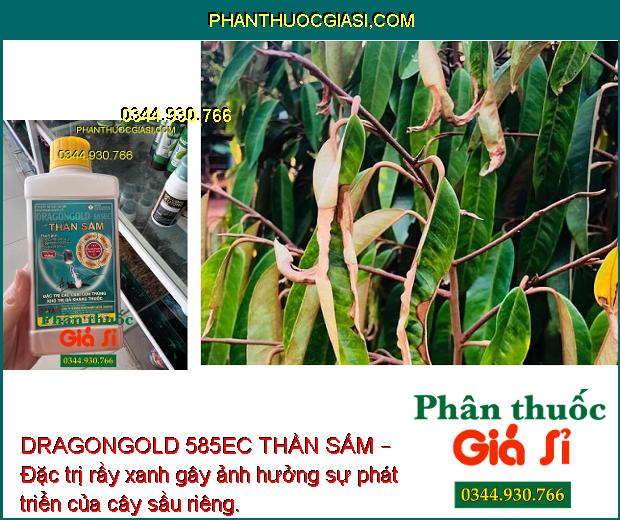 DRAGONGOLD 585EC THẦN SẤM – Đặc Trị Rệp Sáp - Rầy Xanh - Bọ Trĩ - Sâu Đục Quả