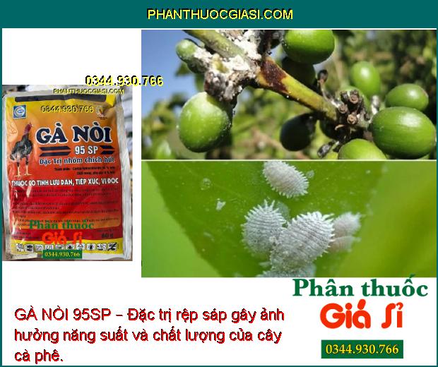 GÀ NÒI 95SP – Đặc Trị Sâu Đục Thân - Sâu Đục Quả - Bọ Trĩ - Rệp Sáp