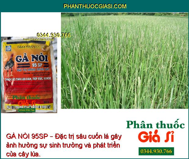 GÀ NÒI 95SP – Đặc Trị Sâu Đục Thân - Sâu Đục Quả - Bọ Trĩ - Rệp Sáp