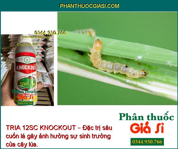 TRIA 12SC KNOCKOUT – Đặc Trị Nhện Gié -  Sâu Cuốn Lá - Bọ Trĩ - Sâu Đục Thân - Sâu Phao