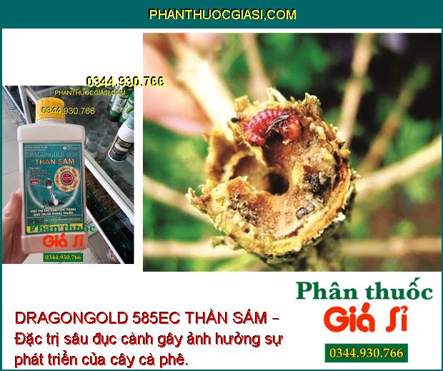 DRAGONGOLD 585EC THẦN SẤM – Đặc Trị Rệp Sáp - Rầy Xanh - Bọ Trĩ - Sâu Đục Quả