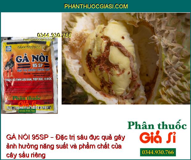 GÀ NÒI 95SP – Đặc Trị Sâu Đục Thân - Sâu Đục Quả - Bọ Trĩ - Rệp Sáp