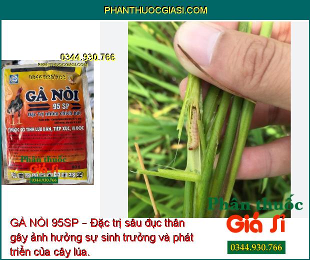 GÀ NÒI 95SP – Đặc Trị Sâu Đục Thân - Sâu Đục Quả - Bọ Trĩ - Rệp Sáp