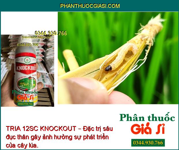 TRIA 12SC KNOCKOUT – Đặc Trị Nhện Gié -  Sâu Cuốn Lá - Bọ Trĩ - Sâu Đục Thân - Sâu Phao