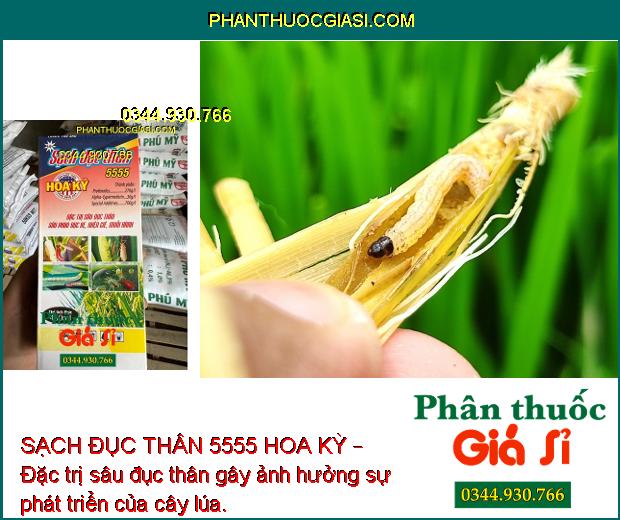 SẠCH ĐỤC THÂN 5555 HOA KỲ – Đặc Trị Sâu Đục Thân - Rệp Sáp - Sâu Đục Quả - Rầy Nâu - Nhện Đỏ