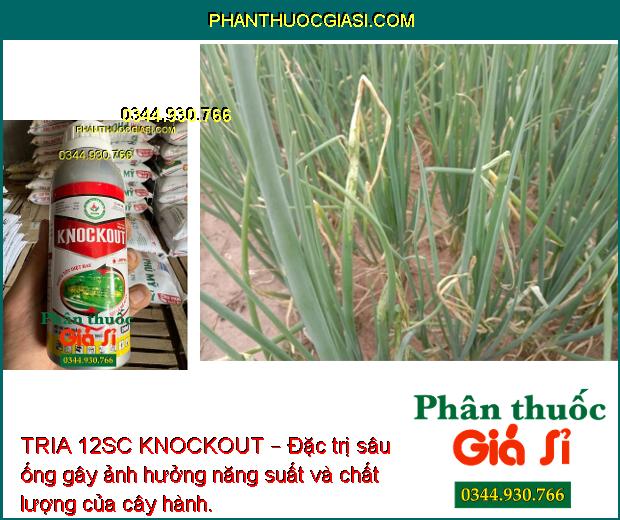 TRIA 12SC KNOCKOUT – Đặc Trị Nhện Gié -  Sâu Cuốn Lá - Bọ Trĩ - Sâu Đục Thân - Sâu Phao