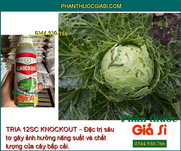 TRIA 12SC KNOCKOUT – Đặc Trị Nhện Gié -  Sâu Cuốn Lá - Bọ Trĩ - Sâu Đục Thân - Sâu Phao