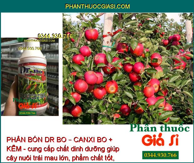 PHÂN BÓN DR BO – CANXI BO + KẼM - Hoa Khỏe - Tăng Đậu Trái - Trái Mau Lớn - Tăng Phẩm Chất Trái