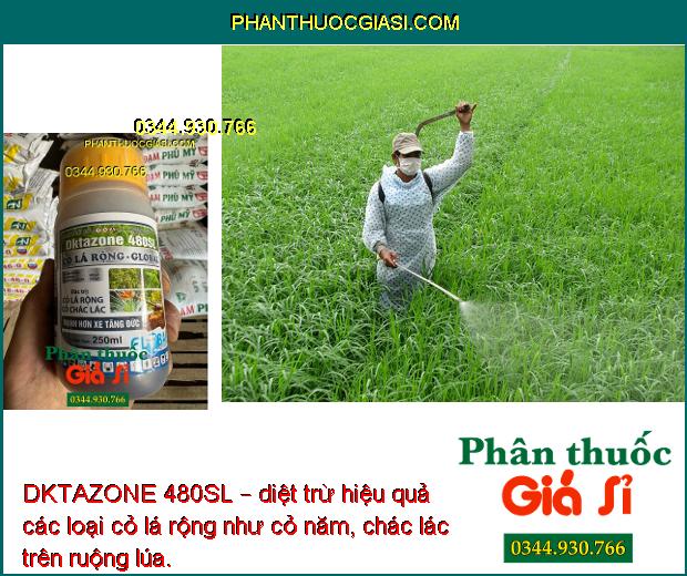 DKTAZONE 480SL – diệt trừ hiệu quả các loại cỏ lá rộng như cỏ năm, chác lác trên ruộng lúa.